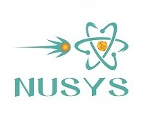 Nuclear Physics School For Young Scientists(NUSYS-2022)